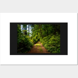 Hiking path at golden hour Posters and Art